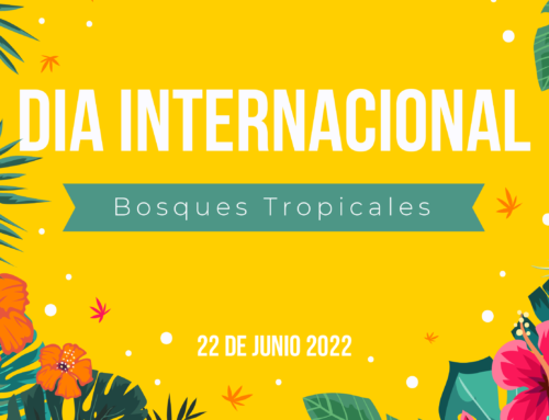 Día Internacional de los Bosques Tropicales