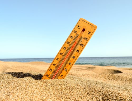 Temperaturas extremas, ¿Cómo afecta la subida de temperaturas?