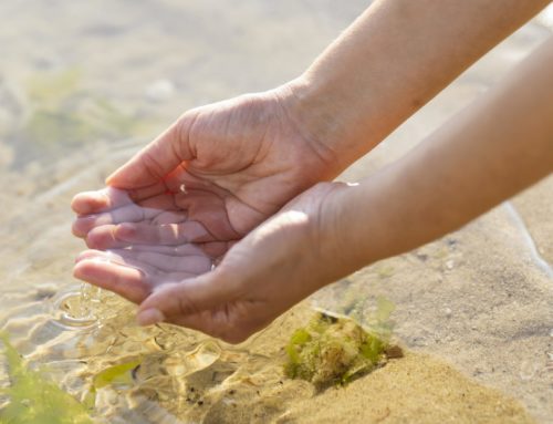 Cómo podemos mejorar la protección de los océanos